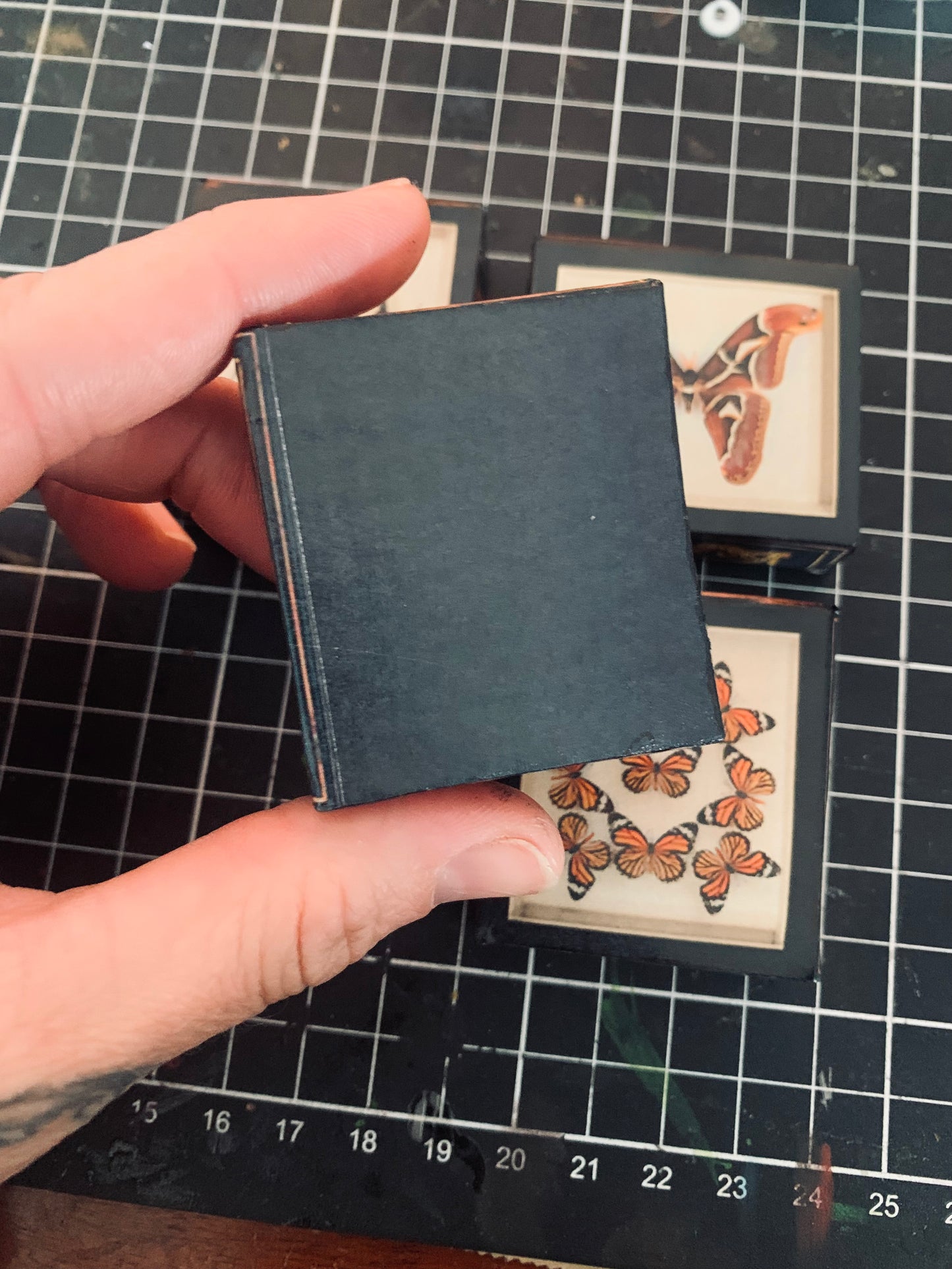 1:2 scale oddity frame set