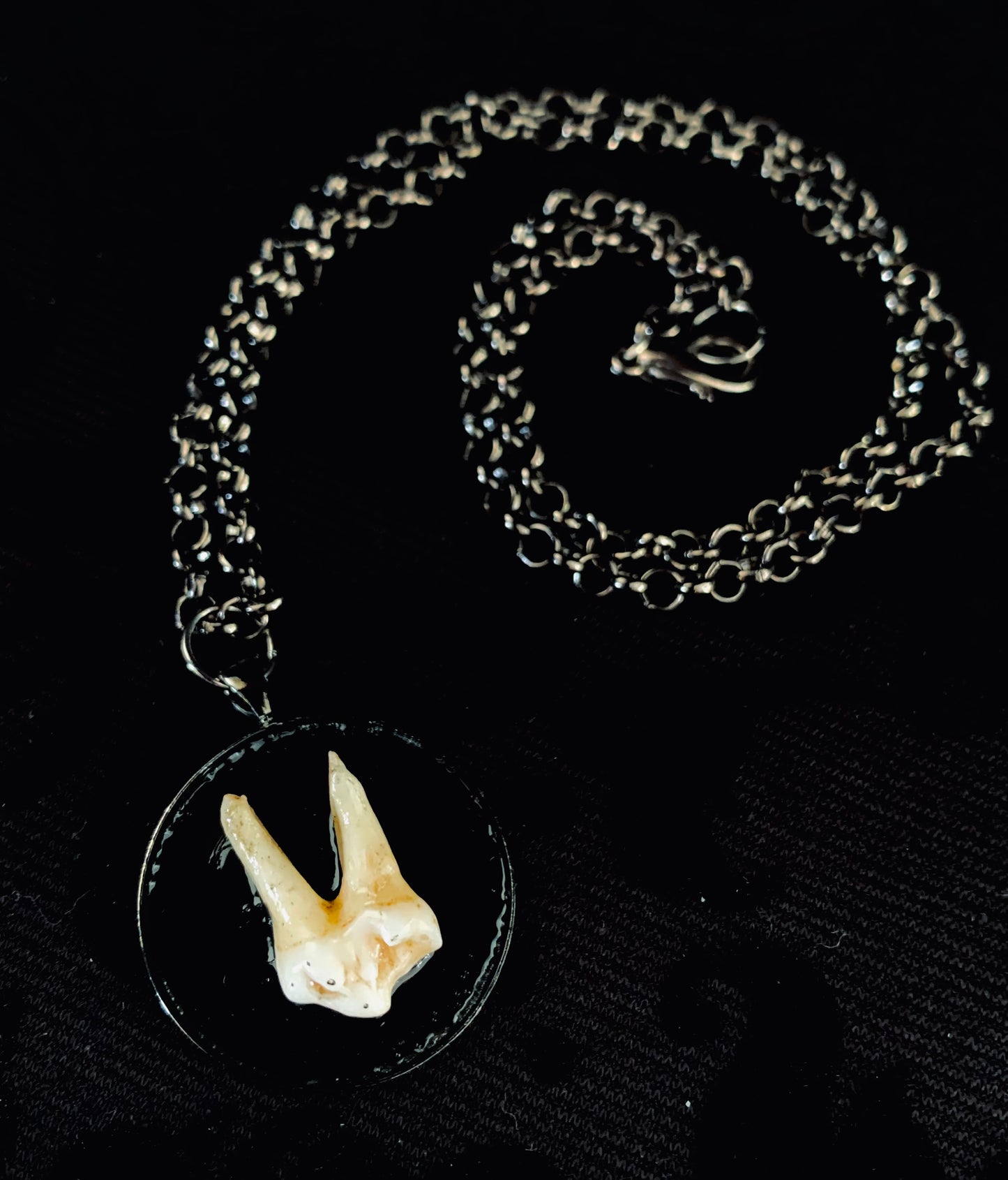 Fox tooth necklace