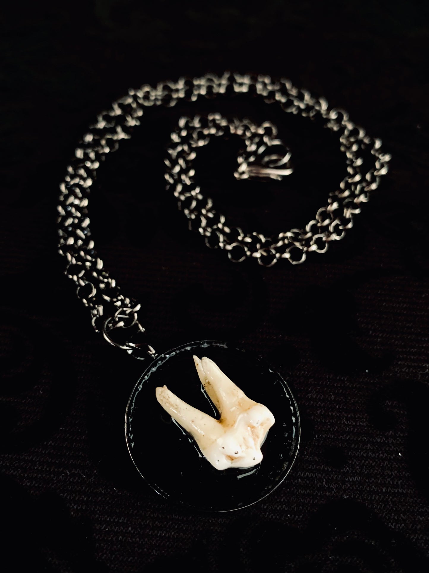 Fox tooth necklace