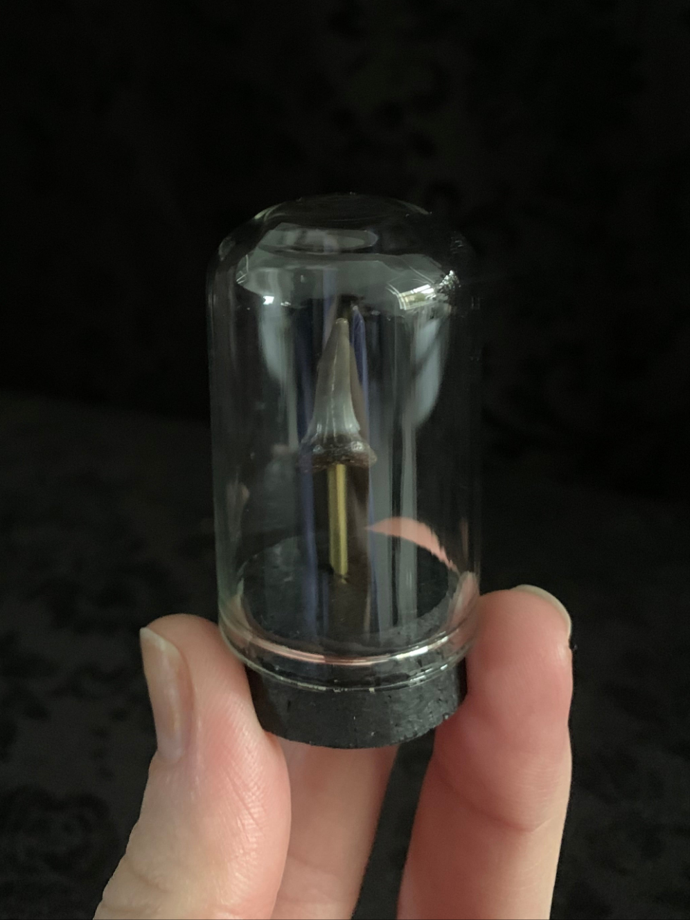 Fossilised shark tooth mini dome