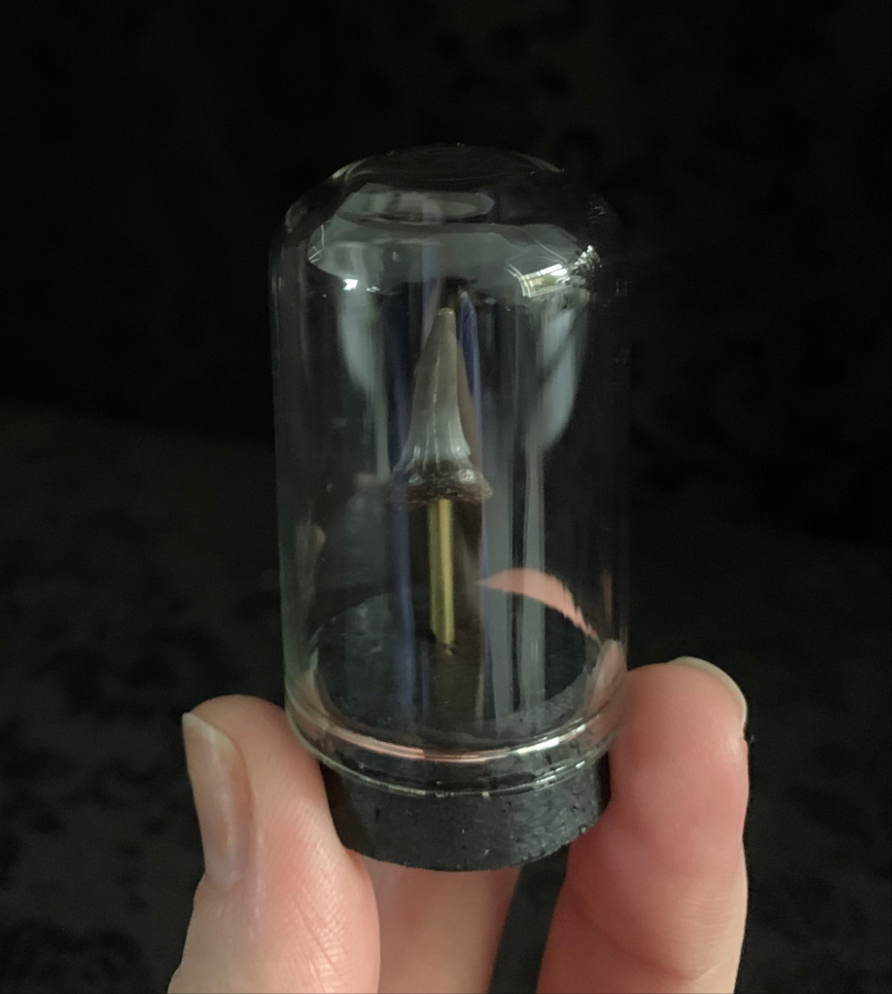 Fossilised shark tooth mini dome