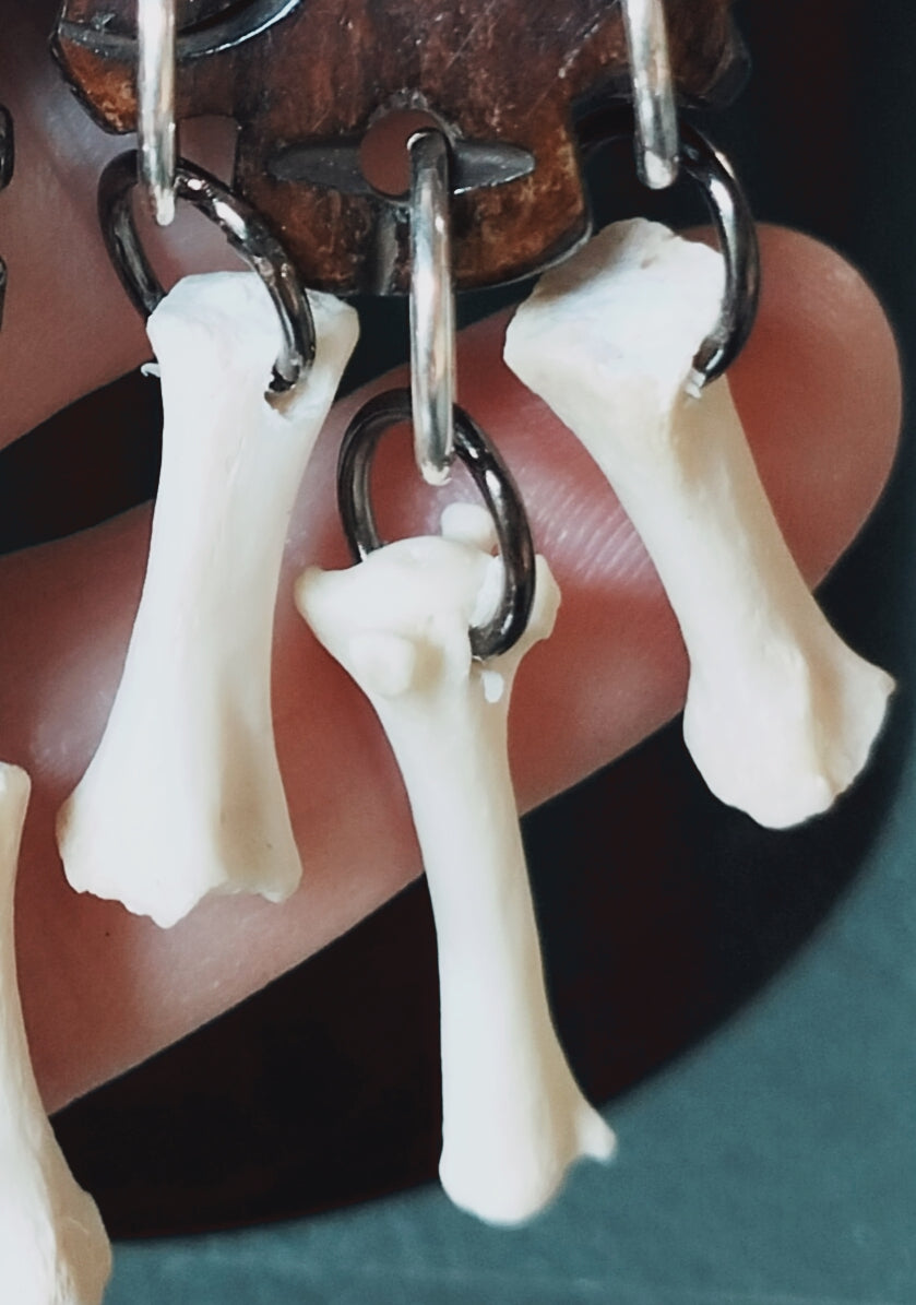 Fox Bone & Buffalo Horn Hand Carved Earrings