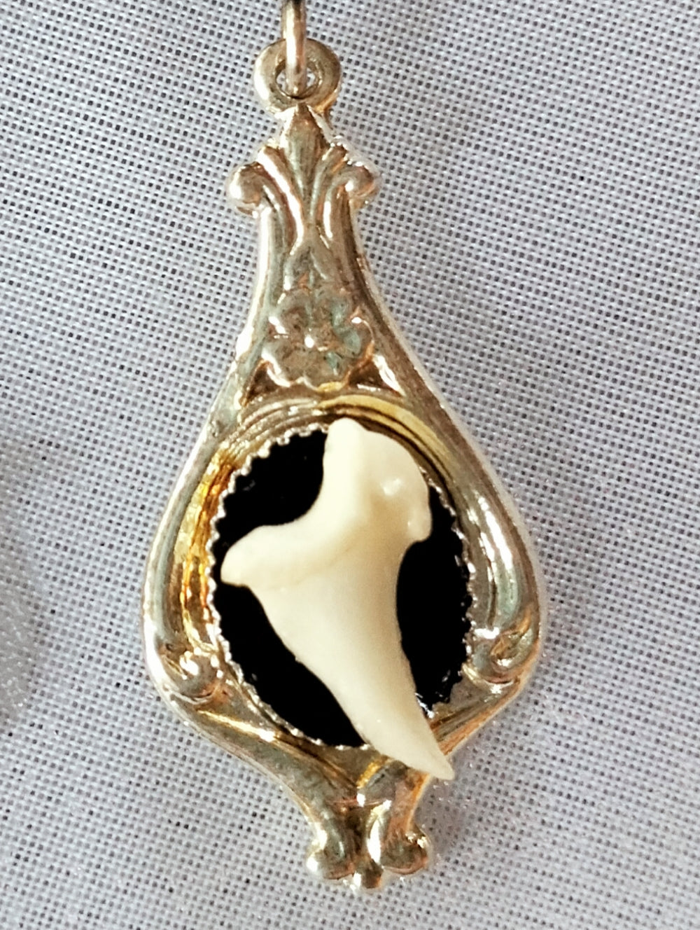 Fox Claw Silver & Onyx Earrings