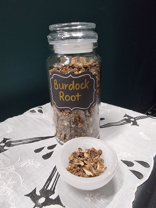 Burdock Root