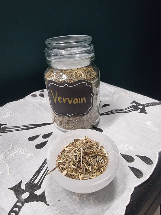 Vervain