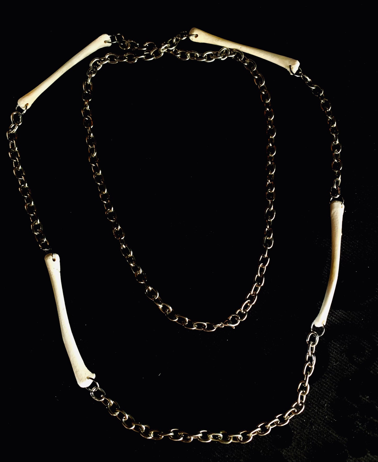 The Bone Witch Necklace