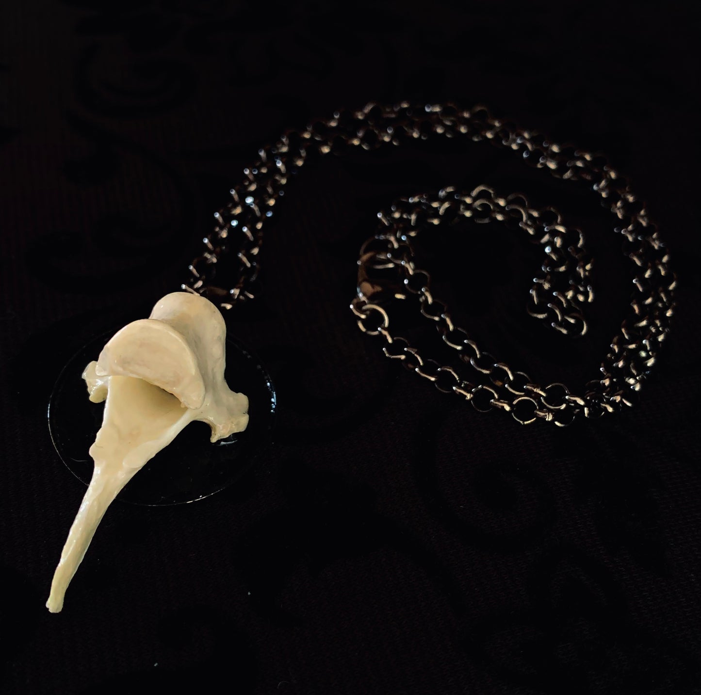 Fox vertebrae necklace