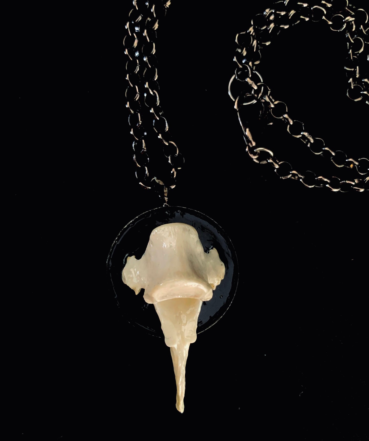 Fox vertebrae necklace