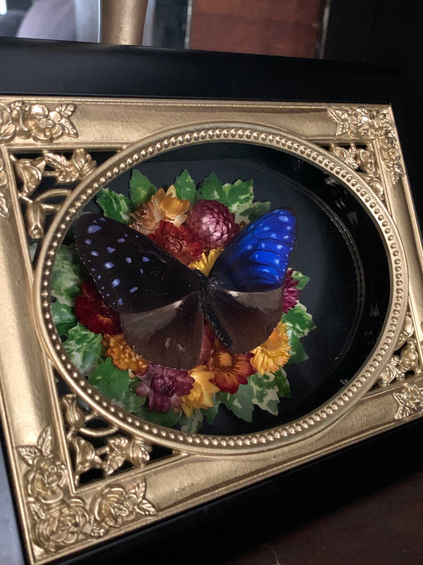 ‘Victorian garden’ butterfly frame