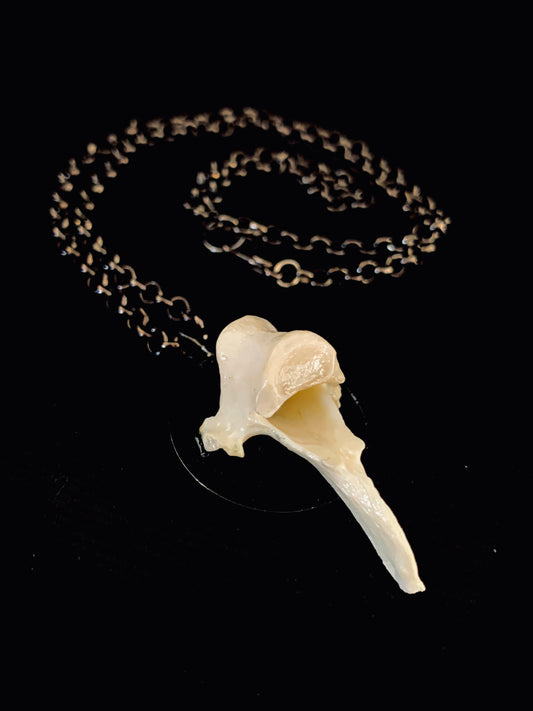 Fox vertebrae necklace