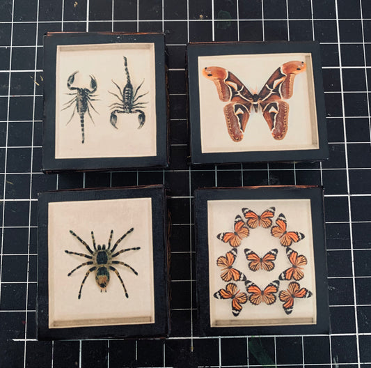 1:2 scale oddity frame set