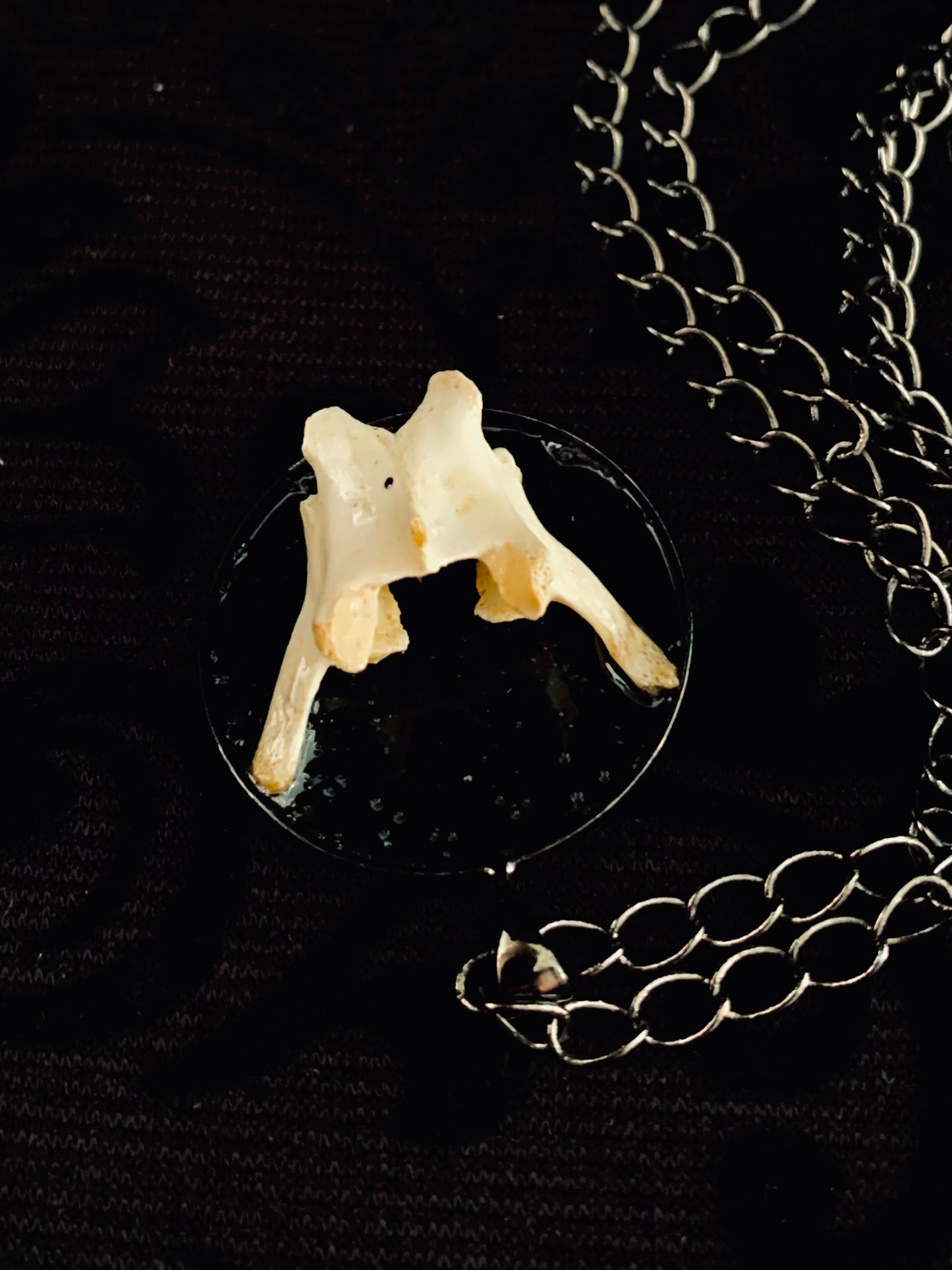 Feral cat vertebrae necklace