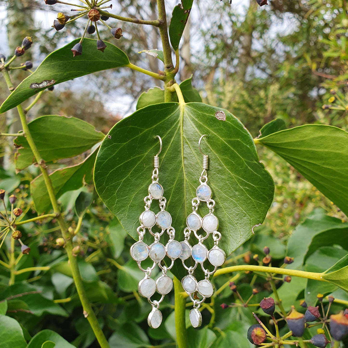 Sterling Silver Moonstone Chandelier Earrings