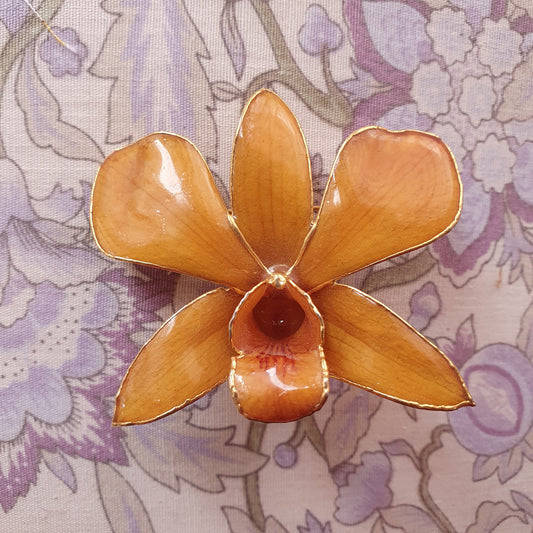 Real Preserved Orchid Flower Brooch / Necklace pendant – 6cm